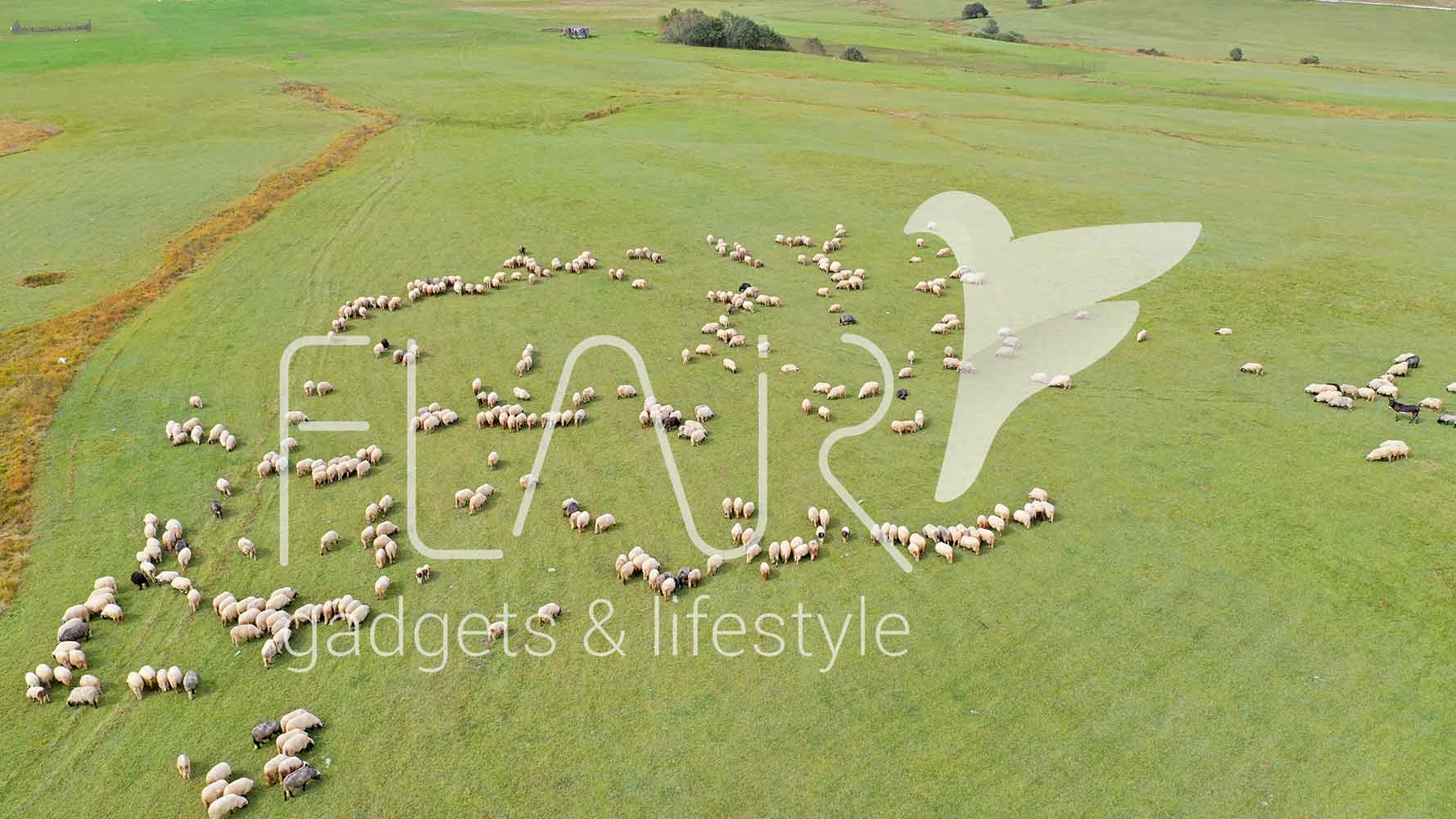 dron-image